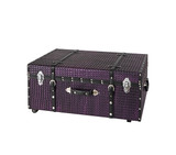 College Apartment Furniture Dorm Storage Ottoman Chest Footlocker with Wheels and Handle Trendy Coffee Table Space Saving Trunk Footboard for Twin XL Bed