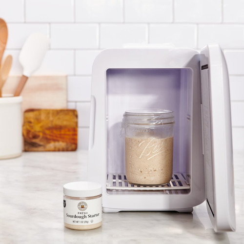 Sourdough Home mini fridge with sourdough starter inside