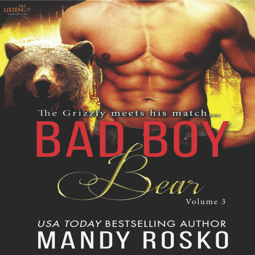 Bad Boy Bear, Vol 3